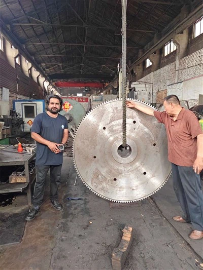 Kev Cai Loj Girth Gears thiab Pinions rau Rotary Kiln & Pob Zeb